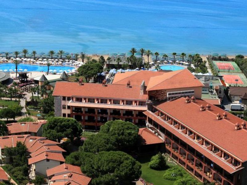 Papillon Belvil  96027