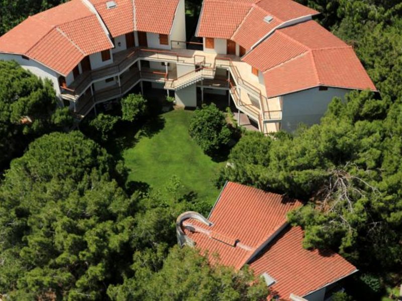 Papillon Belvil  96029