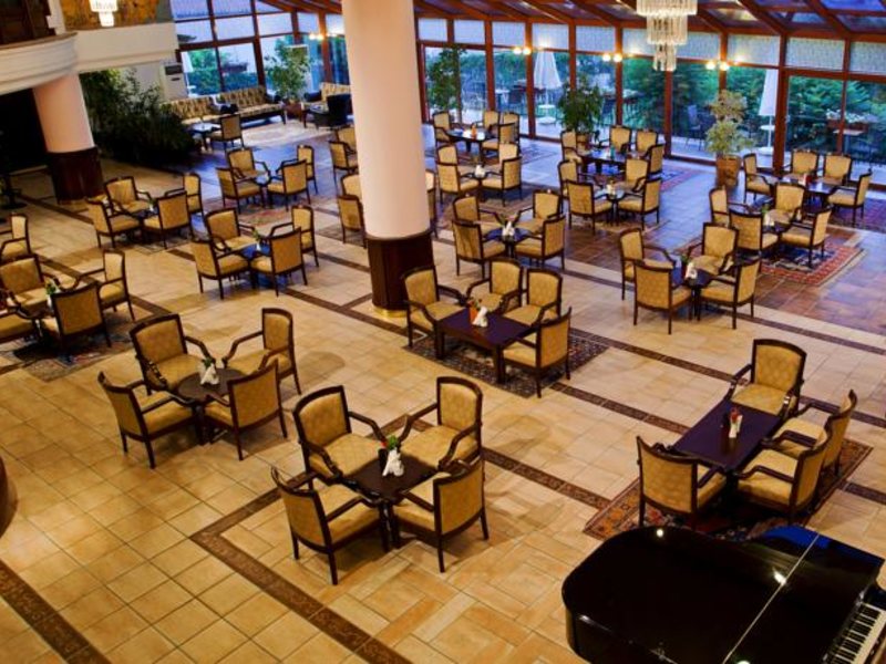 Papillon Belvil  96031