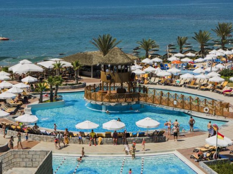 Papillon Belvil  96033