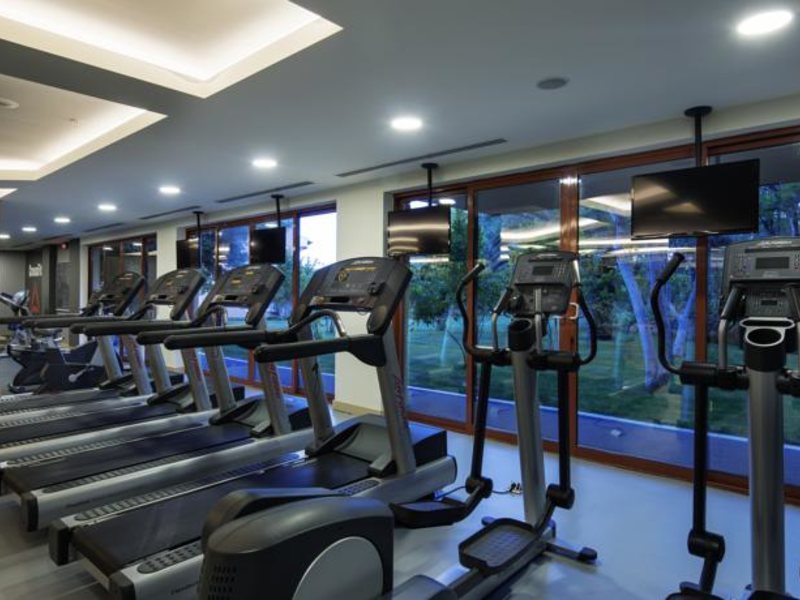 Papillon Belvil  96037