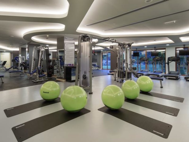 Papillon Belvil  96038