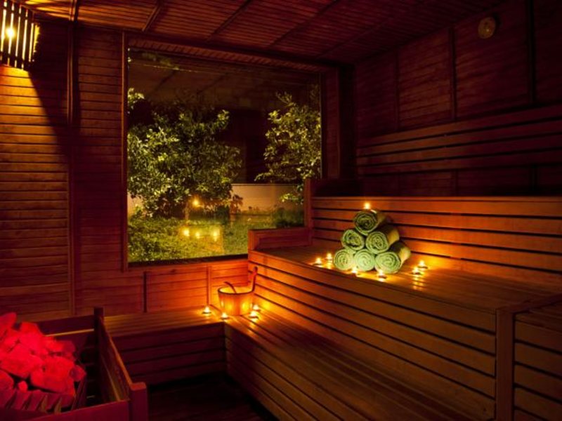 Papillon Belvil  96042