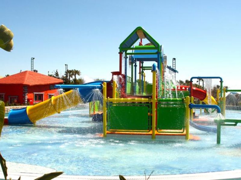 Papillon Belvil  96049