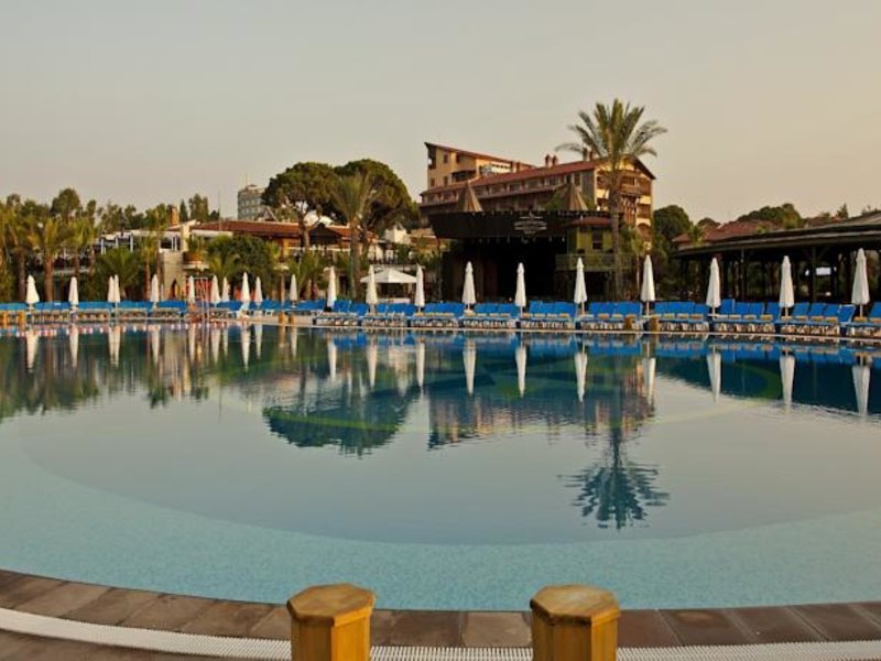 Papillon Belvil  96053