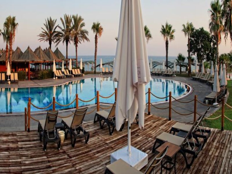 Papillon Belvil  96058