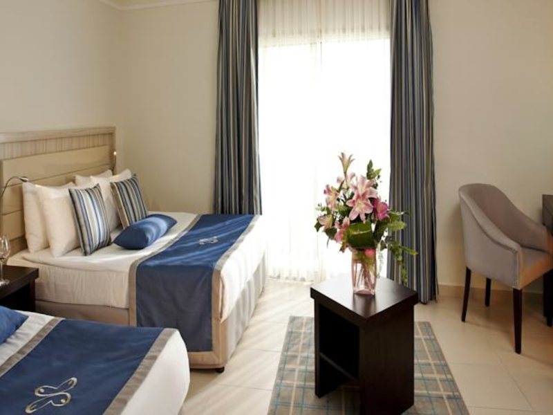 Papillon Belvil  96060