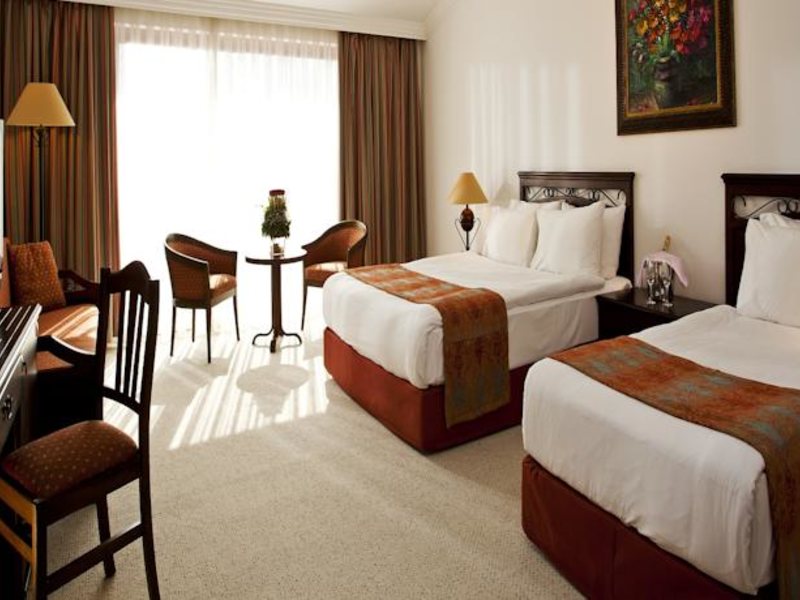 Papillon Belvil  96062