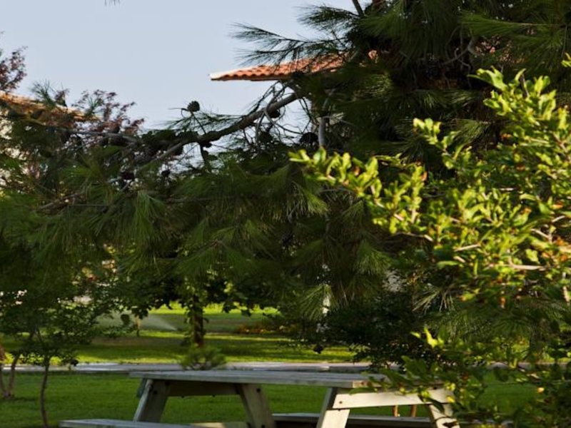 Papillon Belvil  96063