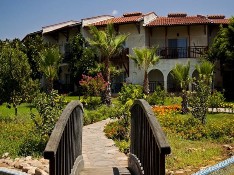 Papillon Belvil  96064