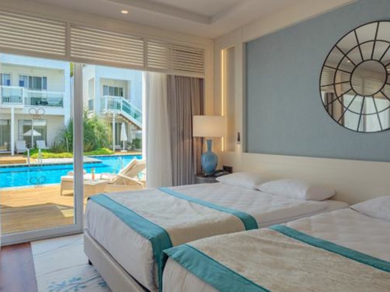 Papillon Zeugma 296015