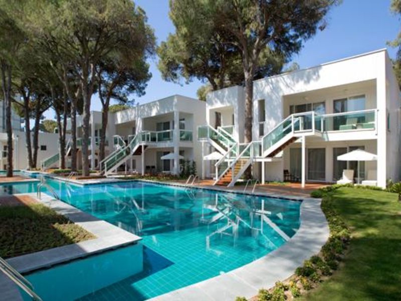 Papillon Zeugma 296017