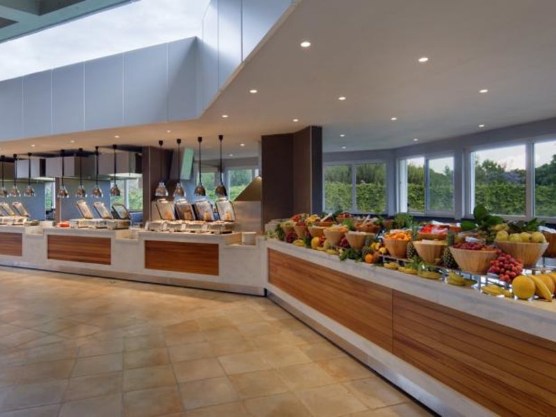 Papillon Zeugma 96065