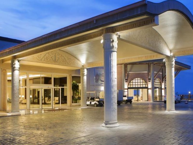 Papillon Zeugma 96067