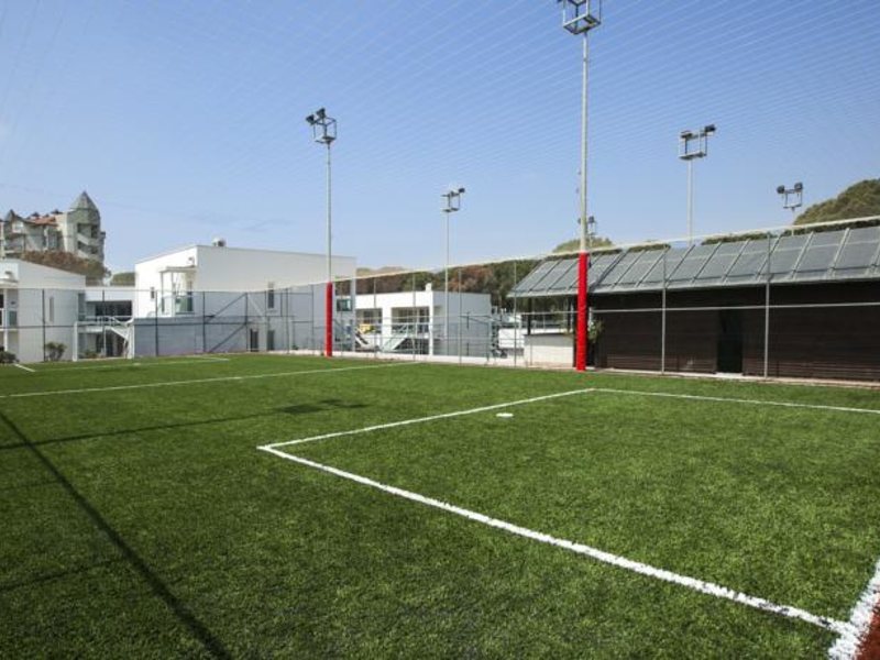 Papillon Zeugma 96070