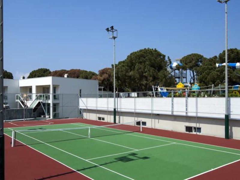 Papillon Zeugma 96074