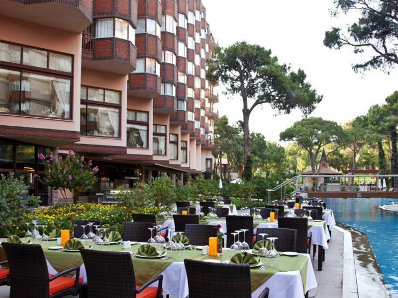 Papillon Zeugma 96075