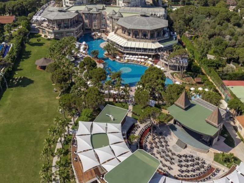 Papillon Zeugma 96077