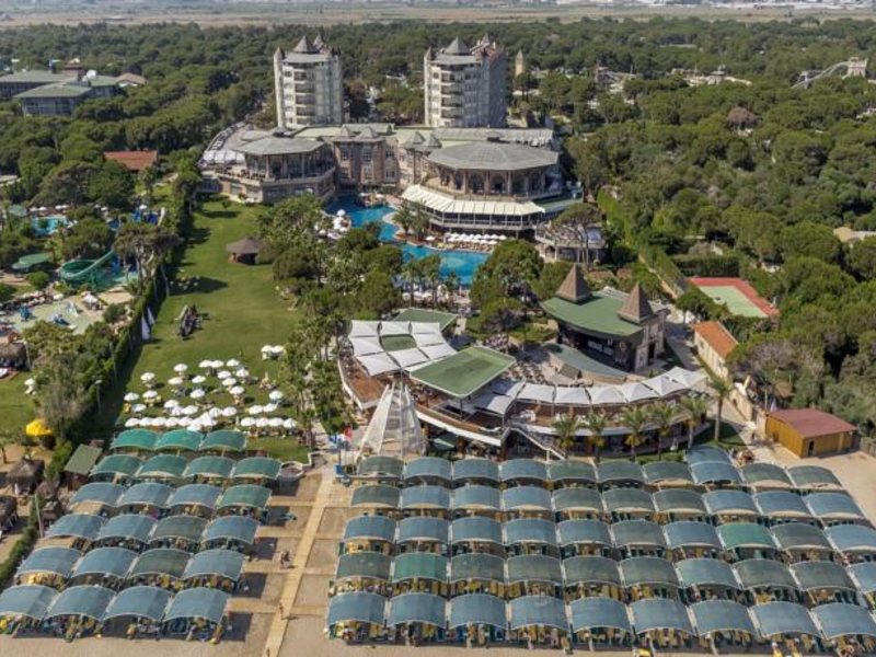 Papillon Zeugma 96079