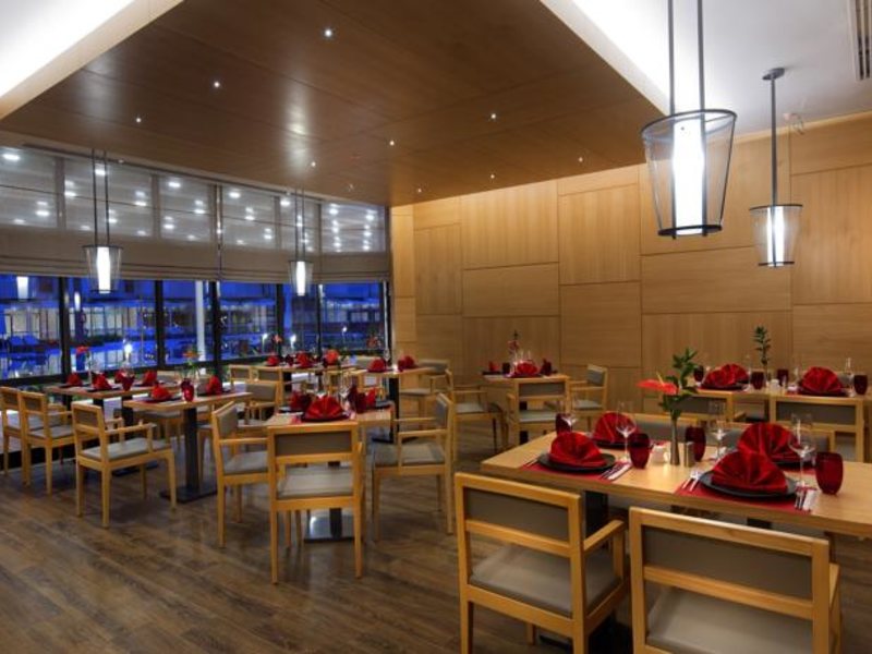 Papillon Zeugma 96081