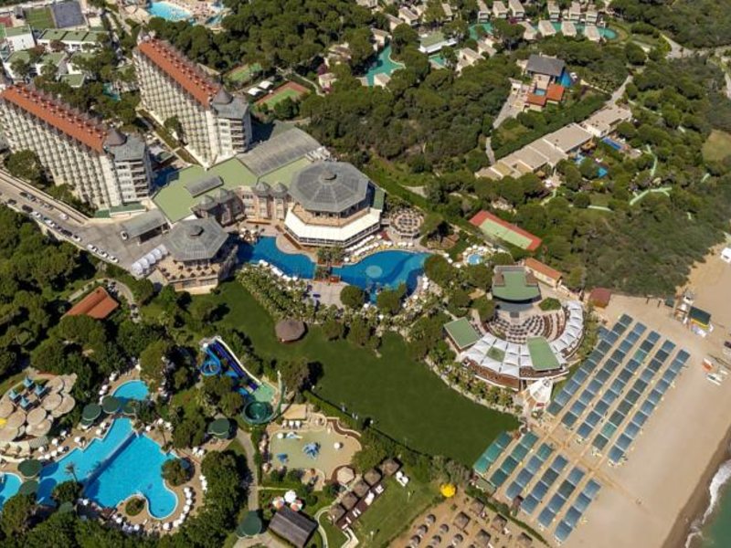 Papillon Zeugma 96082