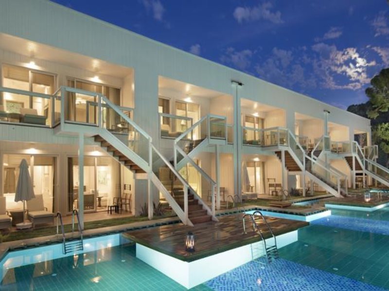 Papillon Zeugma 96085