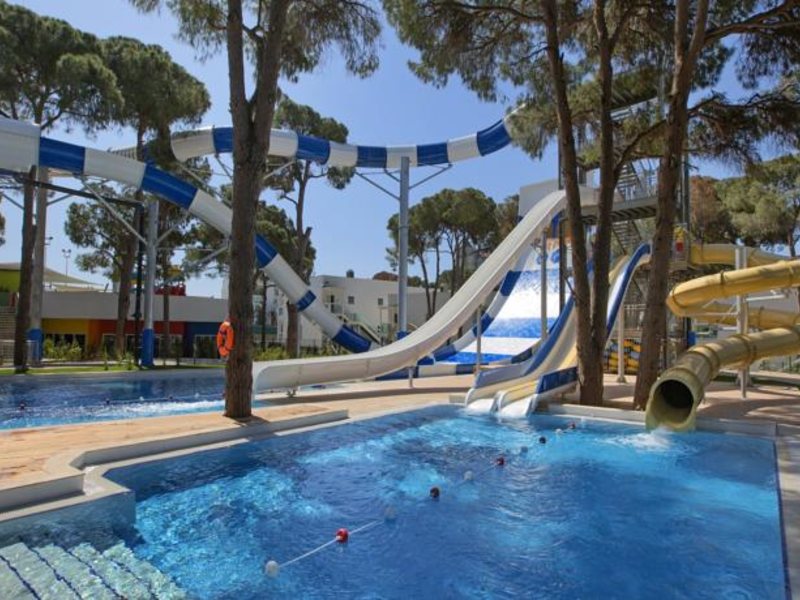 Papillon Zeugma 96087