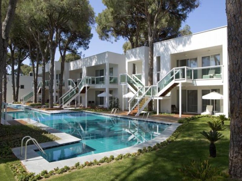 Papillon Zeugma 96089