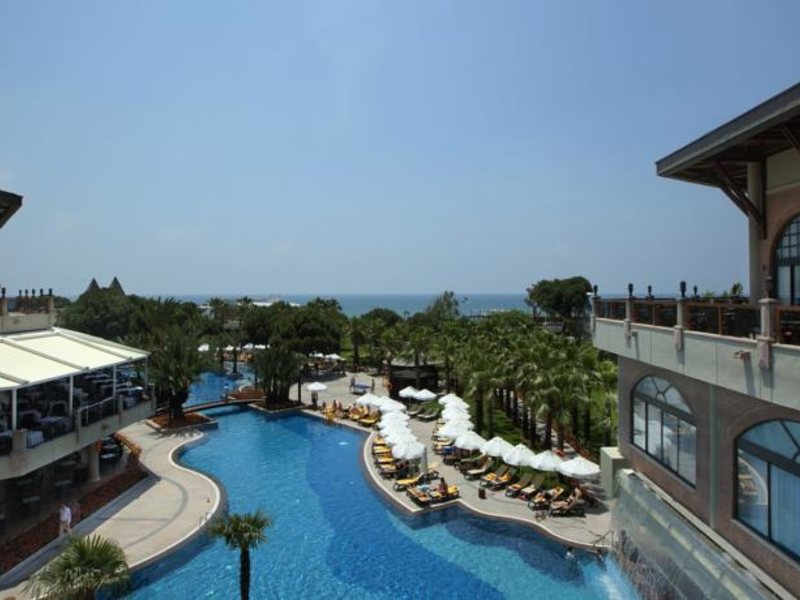 Papillon Zeugma 96091