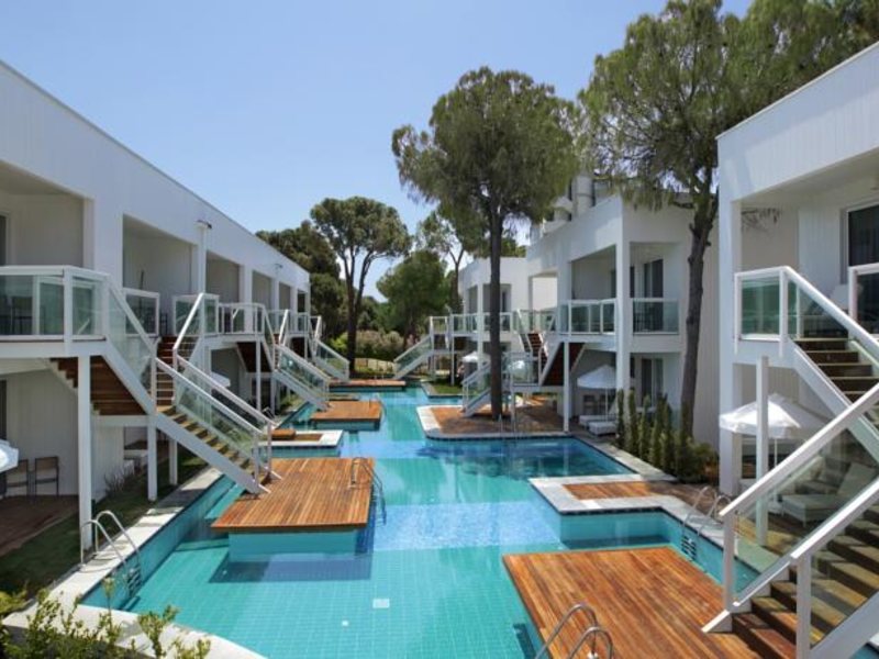 Papillon Zeugma 96092