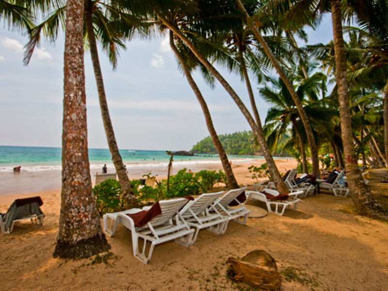Paradise Beach Club 106667
