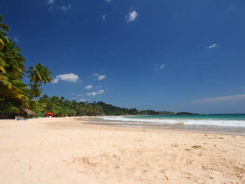 Paradise Beach Club 106671