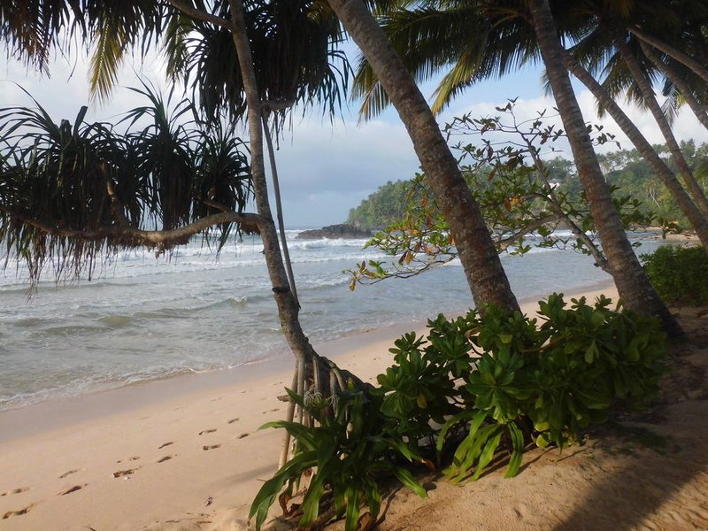 Paradise Beach Club Mirissa 131447