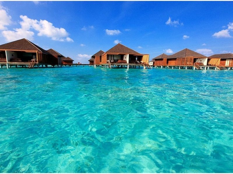 Paradise Island Resort 136187