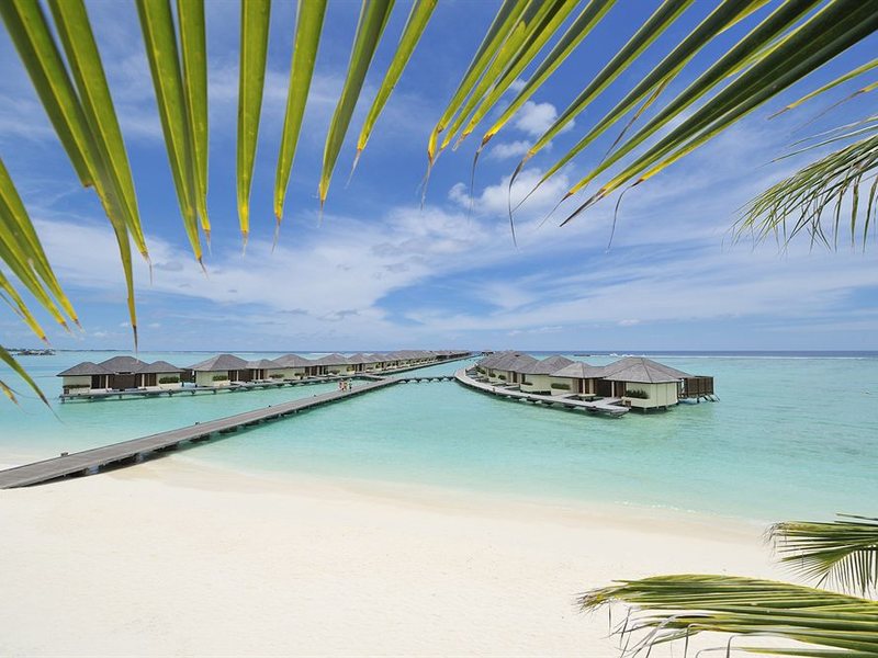 Paradise Island Resort 136205