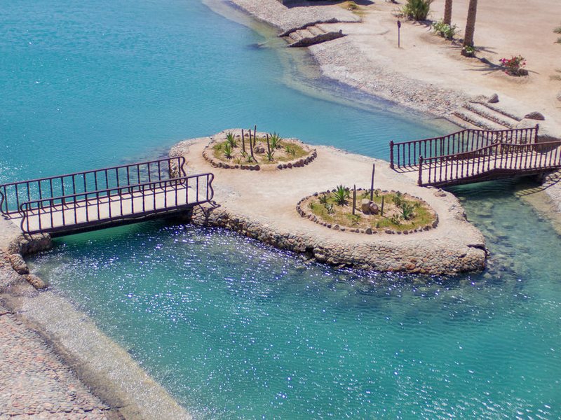 Paradise Red Sea (ex 124179