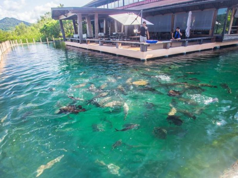 Parama Koh Chang 155741