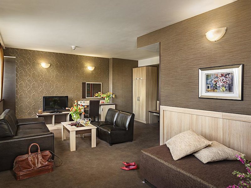 Park Hotel Moscow 213417