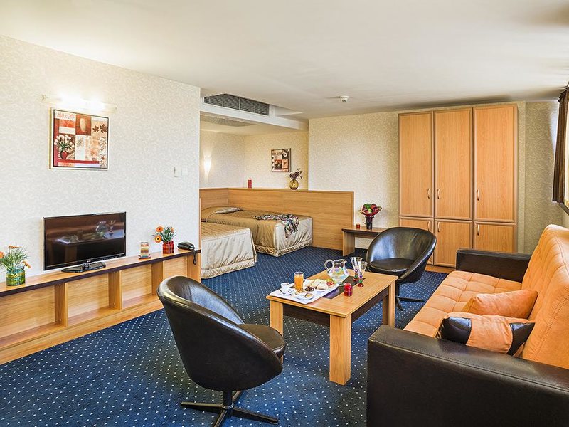 Park Hotel Moscow 213425