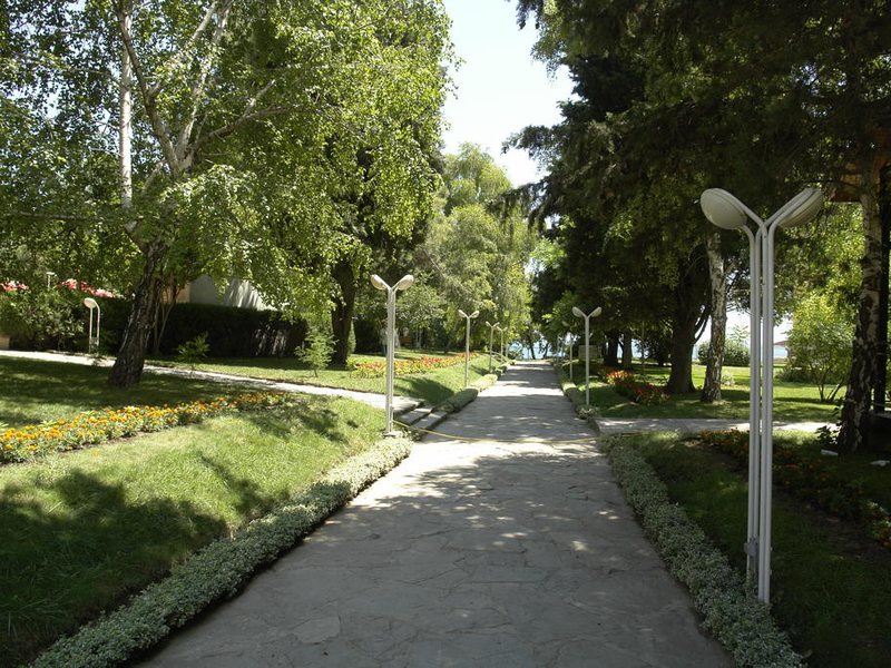 Park Hotel Oasis 167215