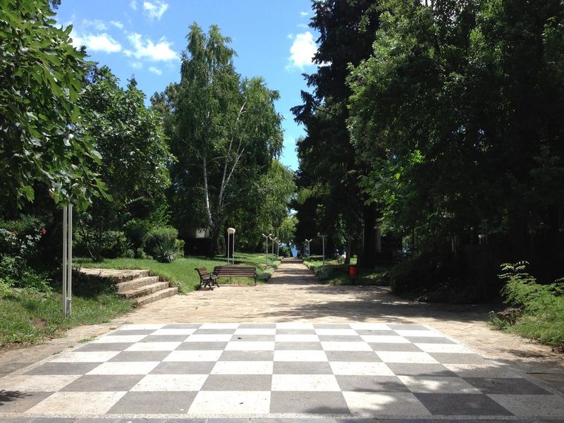 Park Hotel Oasis 167217