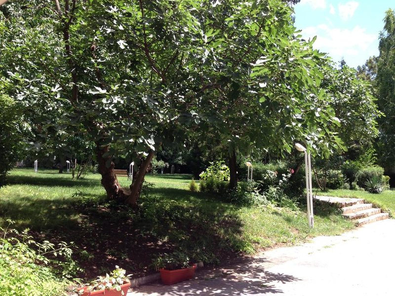 Park Hotel Oasis 167220