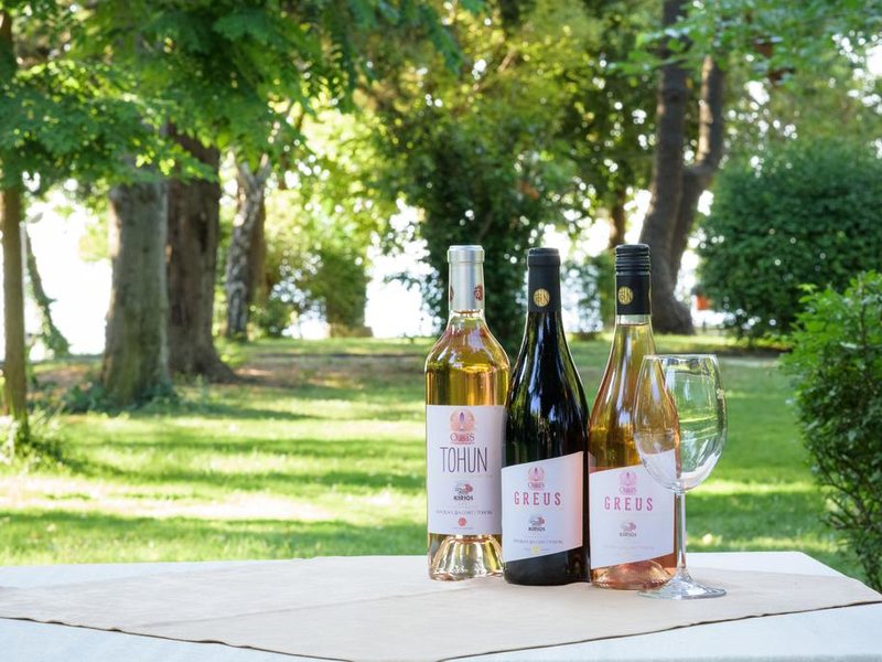 Park Hotel Oasis 167226