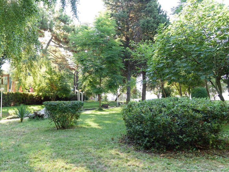 Park Hotel Oasis 167229