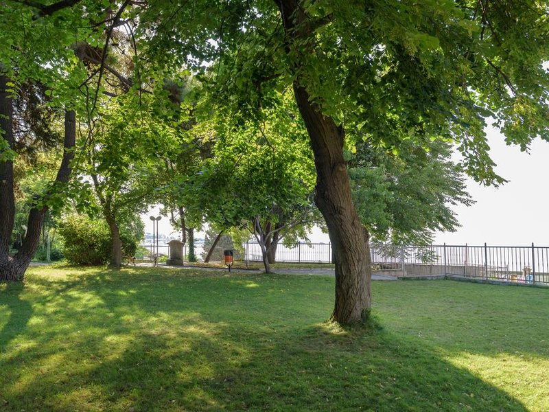 Park Hotel Oasis 167231