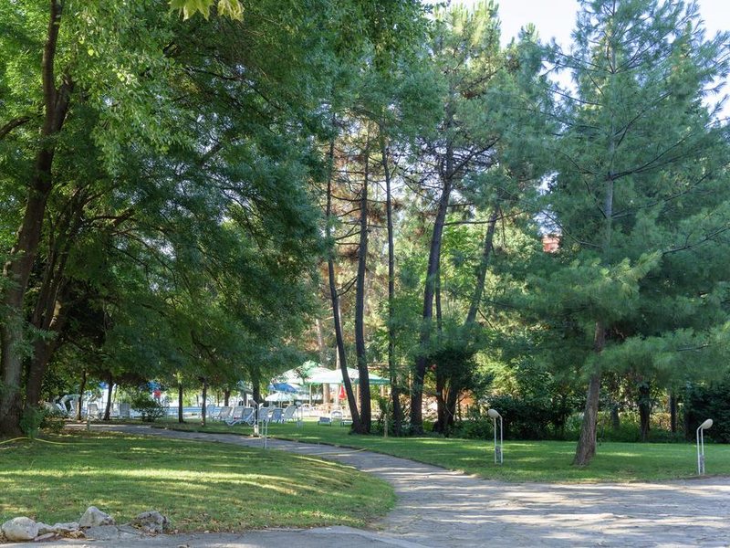 Park Hotel Oasis 167234