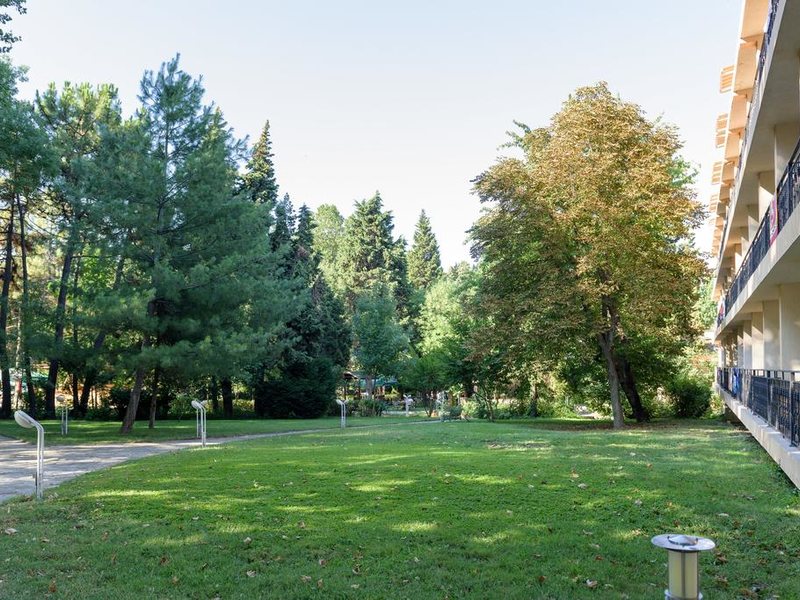 Park Hotel Oasis 167236