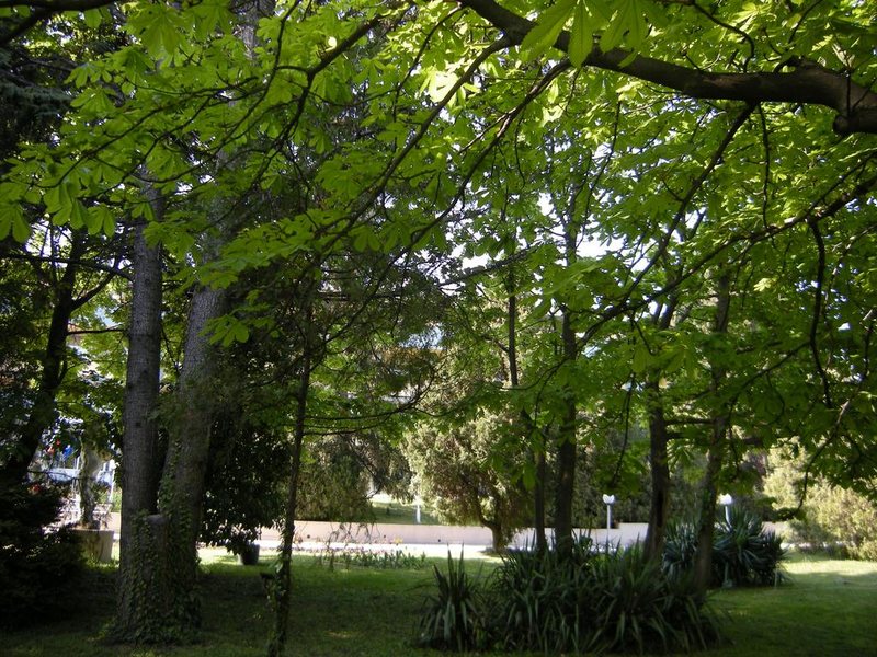 Park Hotel Persey  312954