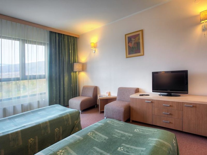Park Hotel Vitosha 213475