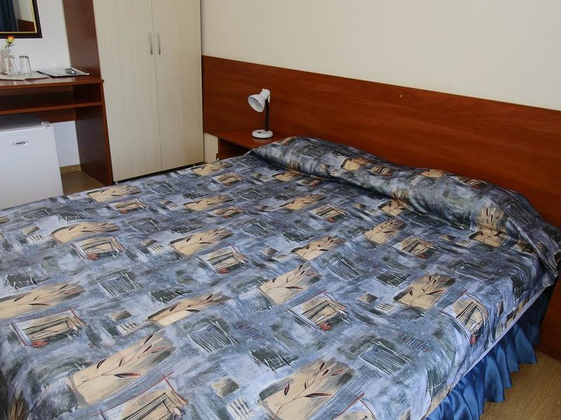 Park Hotel Zdravets 317075